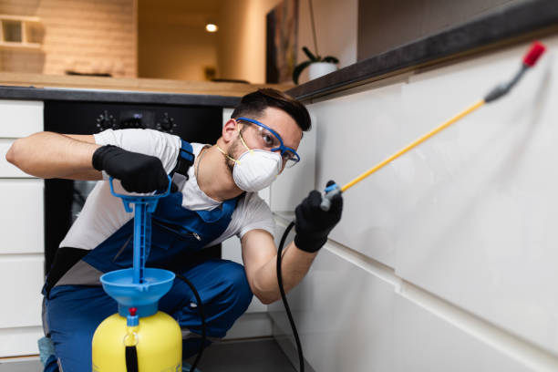 Best Best Pest Control Companies  in Sulphur Springs, AR