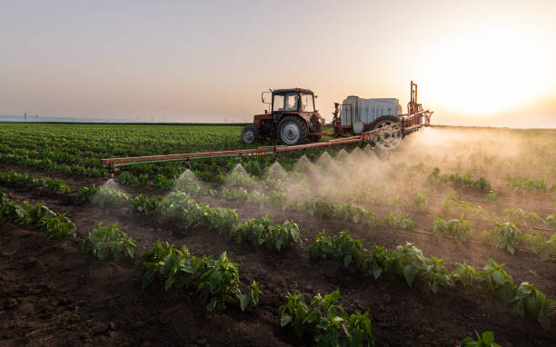 Trusted Sulphur Springs, AR Pest Control Experts