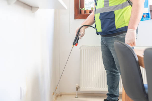 Best Pest Removal Services  in Sulphur Springs, AR