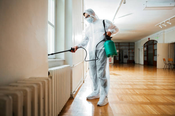 Best Local Pest Control Services  in Sulphur Springs, AR